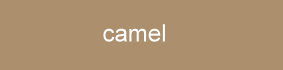 Farbe_camel_knittex